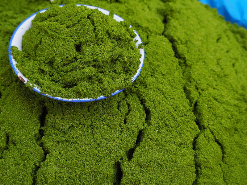 Anti-Inflammatory Properties of Wolffia: The Tiny Plant That's Fighting Inflammation From the Inside Out
