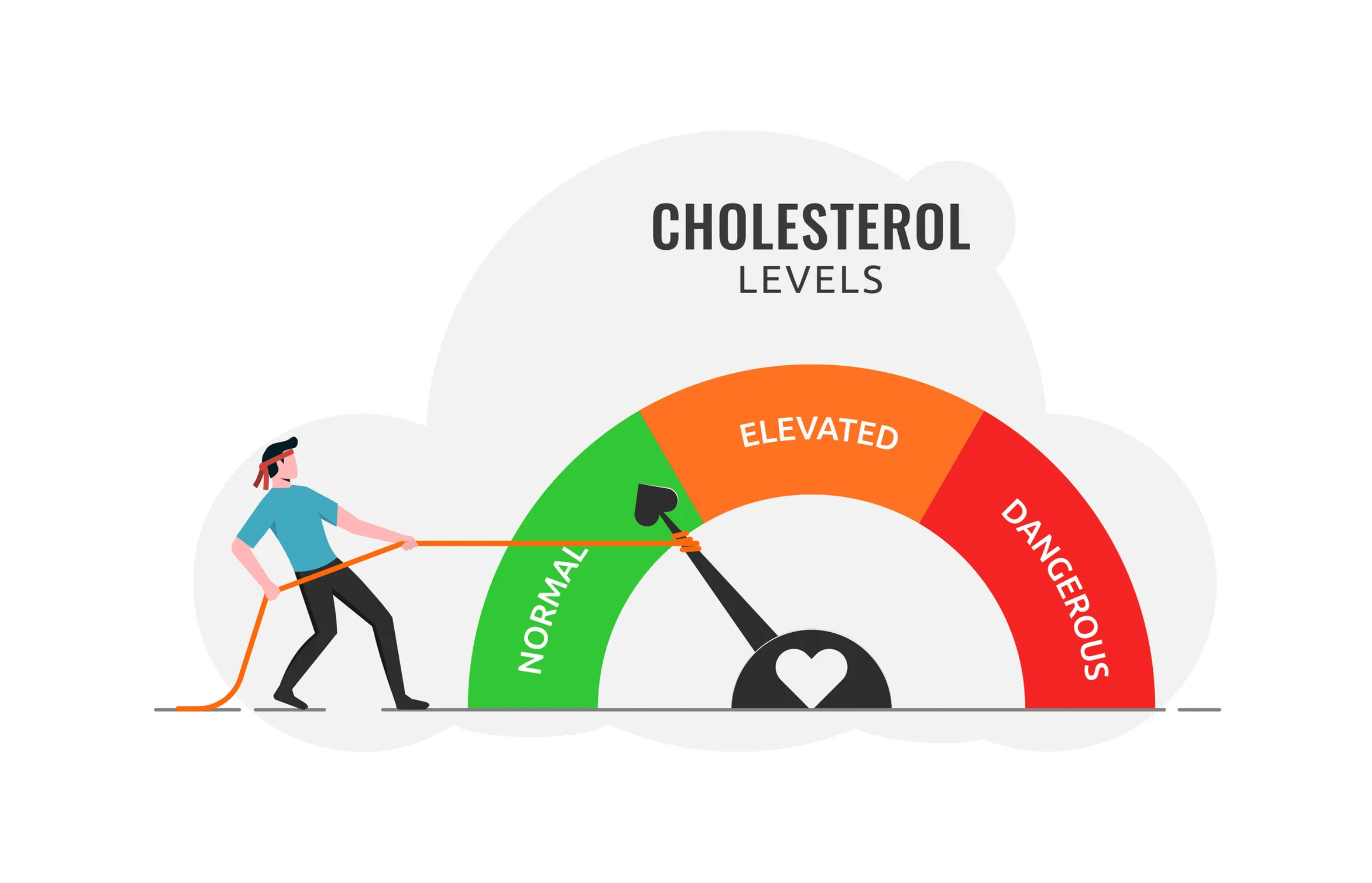 Wolffia Globosa Effects on Cholesterol: What This Tiny Plant Is Doing for Your Heart