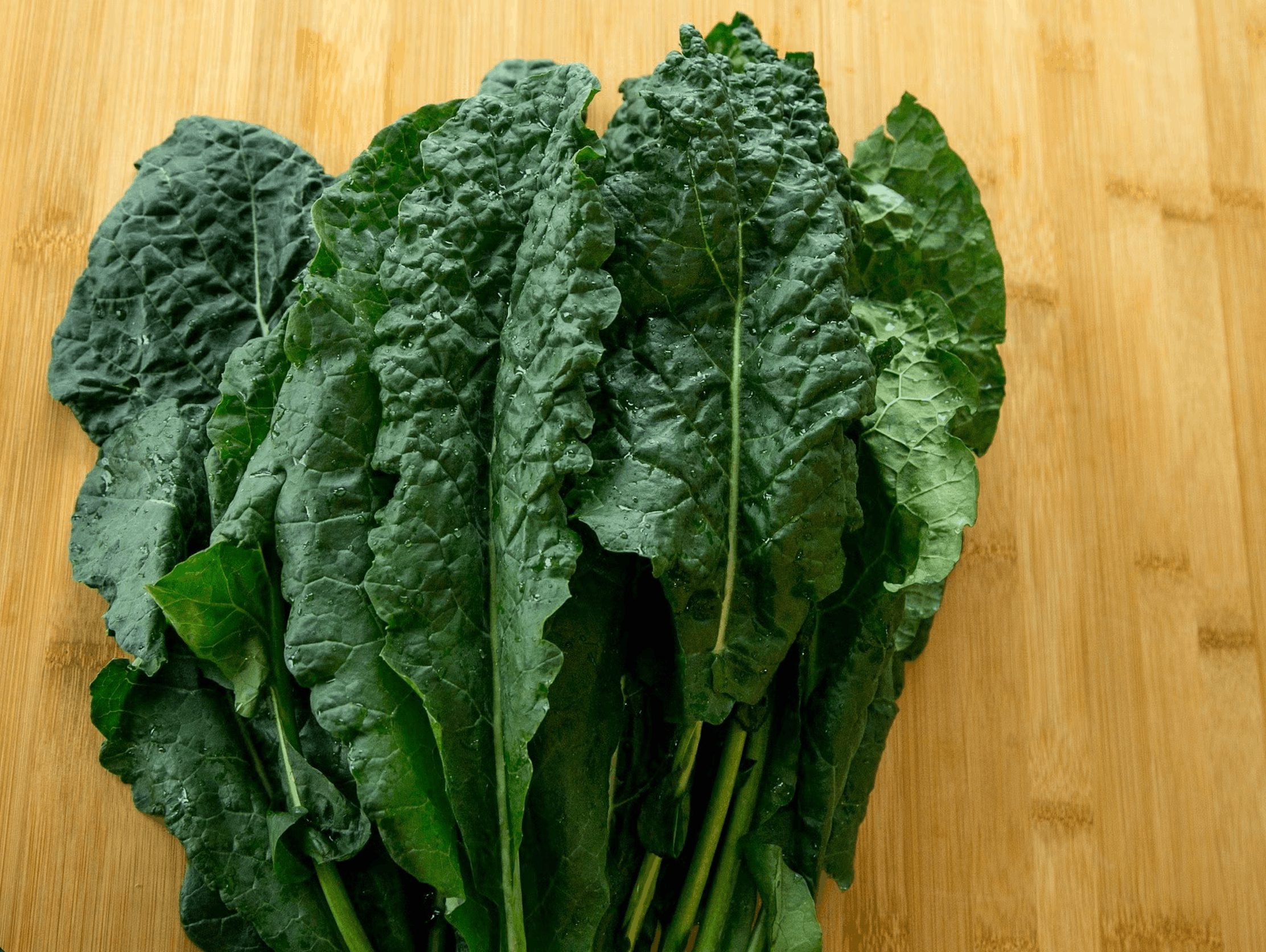 Alternative to Kale? Why I Traded Up For Wolffia Globosa Instead
