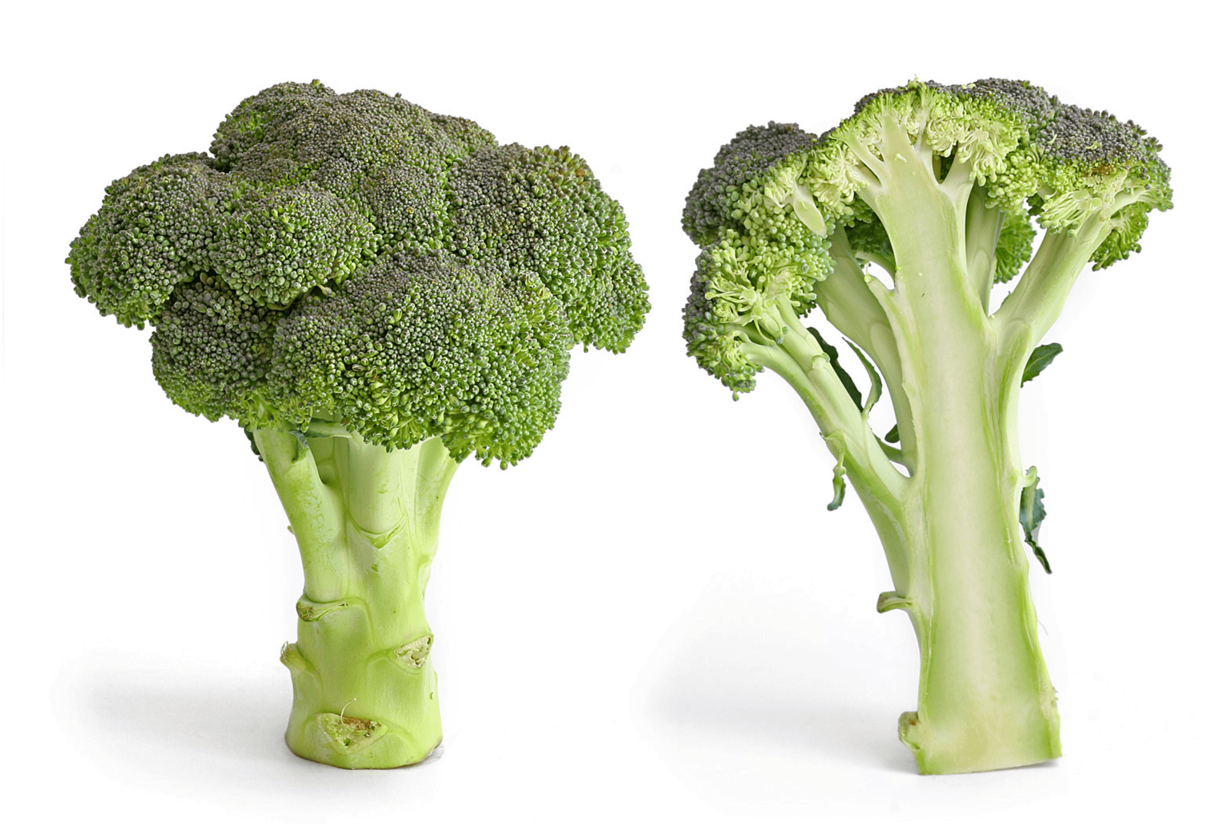Alternative to Broccoli? I Found a Plant That Makes It Look Like a Side Dish