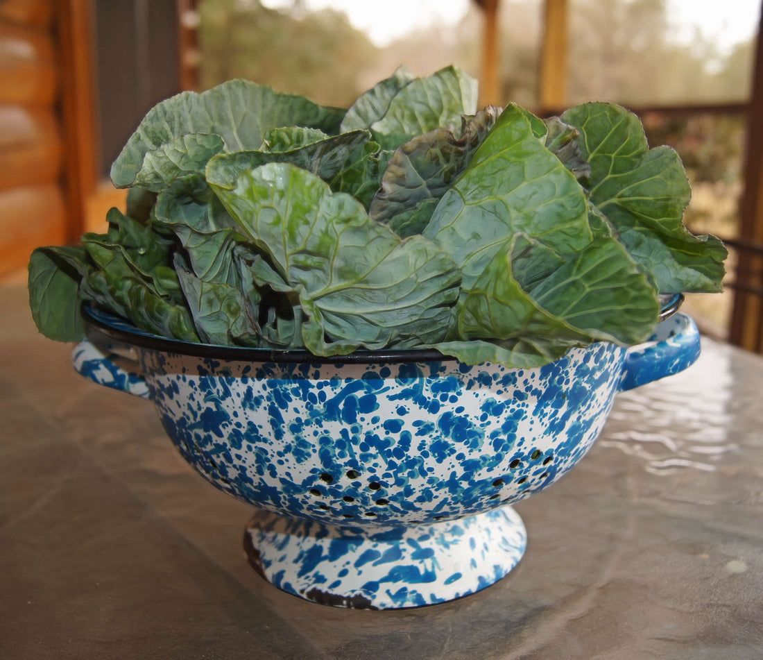 Alternatives to Collard Greens: Why Wolffia Might Be Your Best Leafy Green Upgrade