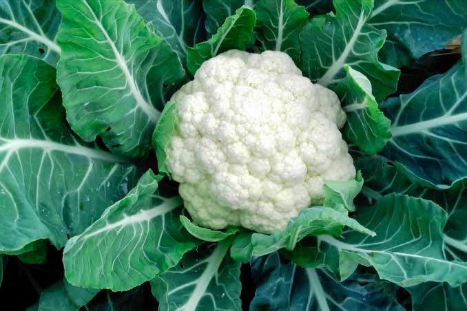 Alternative to Cauliflower That's Actually More Nutritious (And Takes Zero Prep)