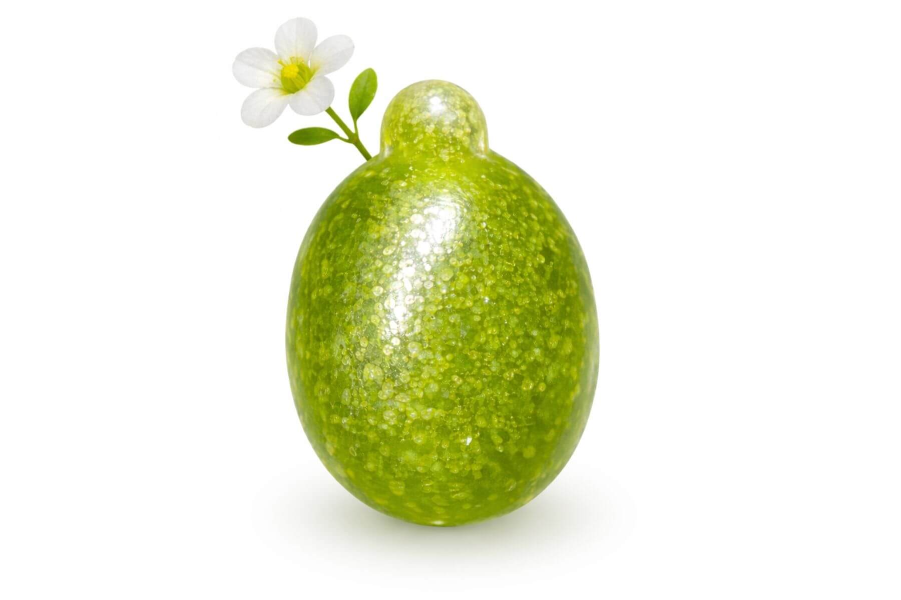 Is Wolffia a Plant or a Flower?