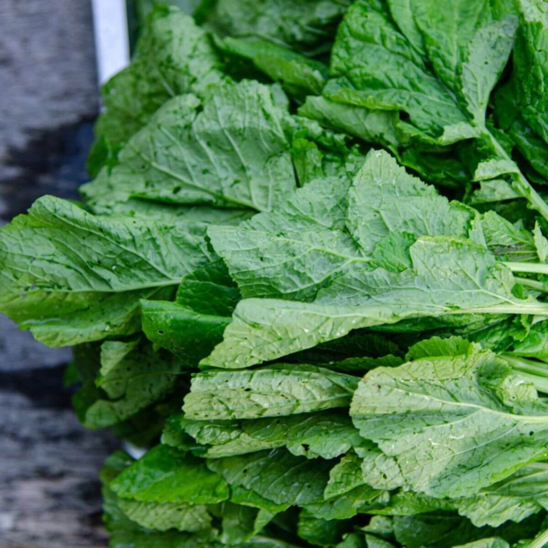 Mustard Greens Substitute: The Complete Guide to Better Alternatives (and Why Wolffia Wins)
