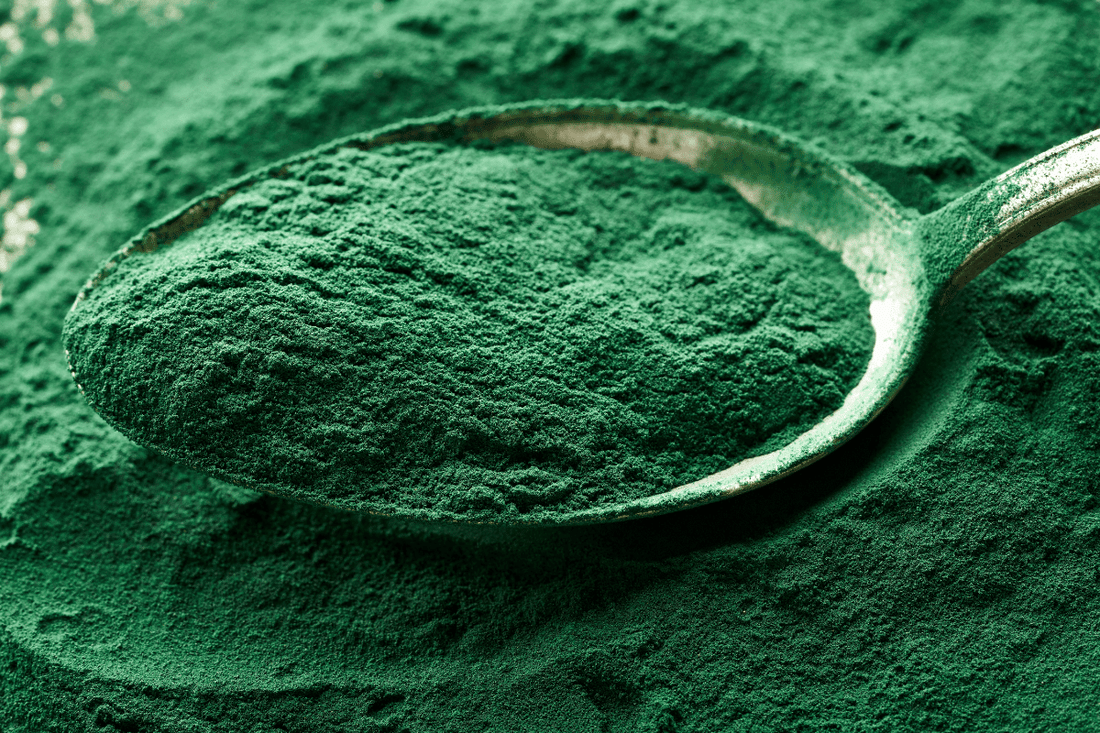 How Does Wolffia Compare to Spirulina? (The Answer Might Surprise You)