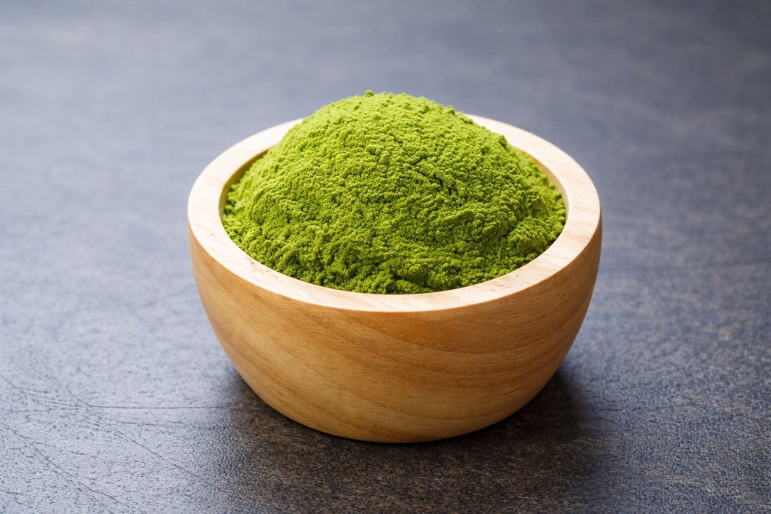 What Is Wolffia? The Complete Guide to the World’s Smallest Plant